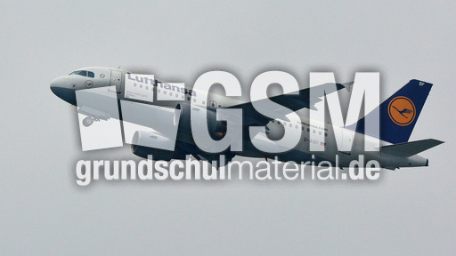 Airbus A319-100_4.jpg